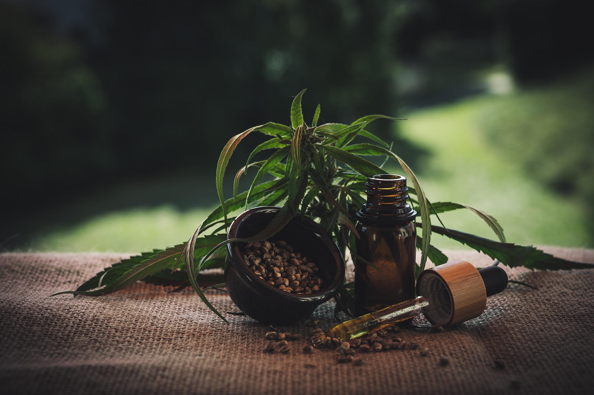 kannabisz olaj